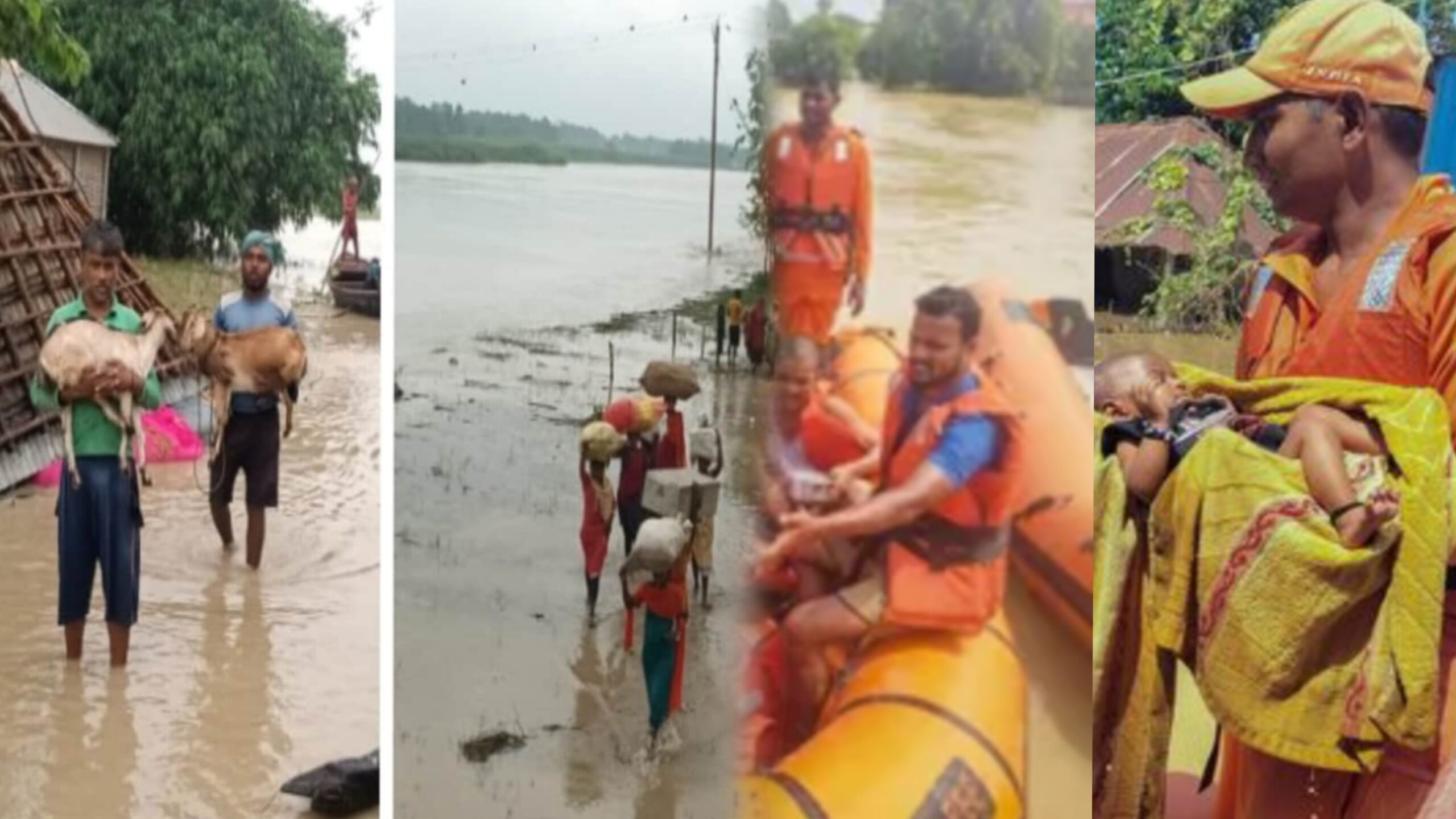 दरभंगा जिले के तीन प्रखंड बाढ़ की चपेट में आ गए हैं, 50 से अधिक गांवों के दो लाख लोग प्रभावित हैं।